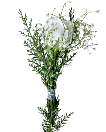 Simple White - 1 White Rose