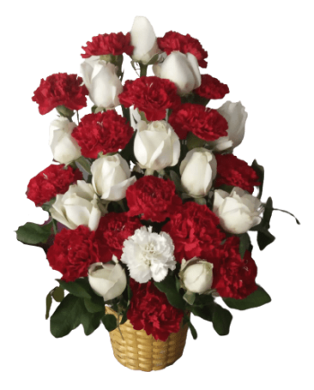 Hot Basket - Red Carnation WIth White Roses -  14 +12