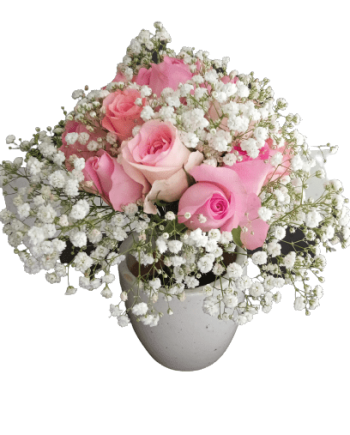 Prime Beauty - Pink Rose 10 and Gypsophila with clay pot