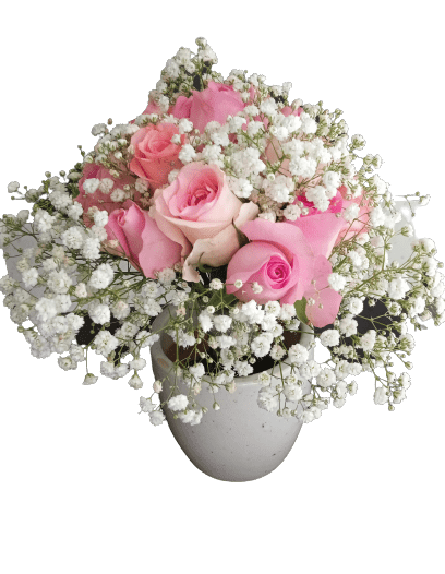 Prime Beauty - Pink Rose 10 and Gypsophila with clay pot