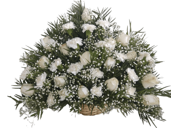 Snow Fall - 20 Carnation 20 White roses 20 with Gypsophila